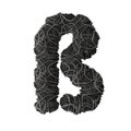 Symbol ÃÅ¸ stylized in the form of a rope pile